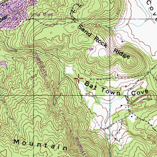 Topographic Map of Bat Town Cove, TN