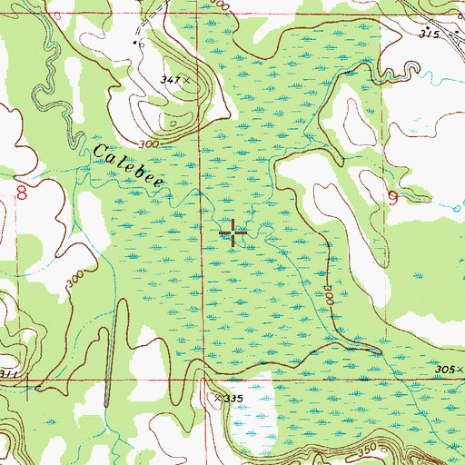 Topographic Map of Tallassarr Creek, AL