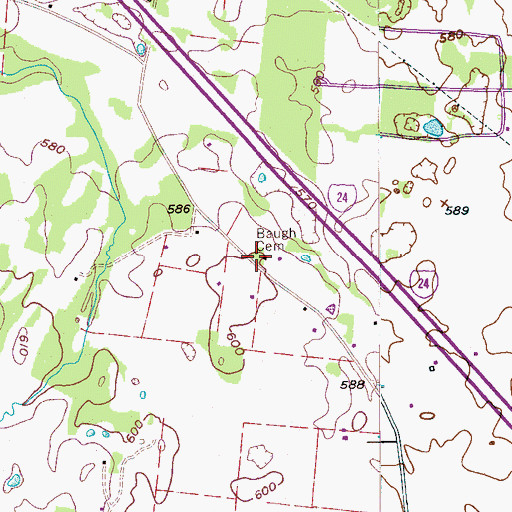 Topographic Map of Baugh Cemetery, TN