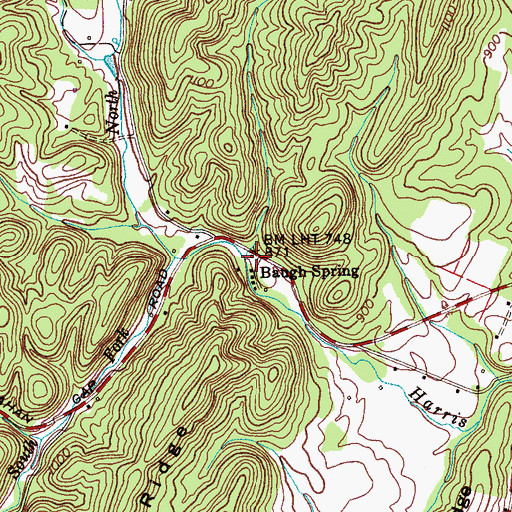 Topographic Map of Baugh Spring, TN