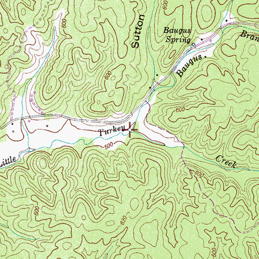Topographic Map of Baugus Branch, TN