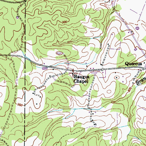 Topographic Map of Baugus Chapel, TN