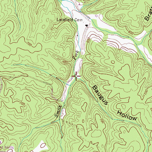 Topographic Map of Baugus Hollow, TN