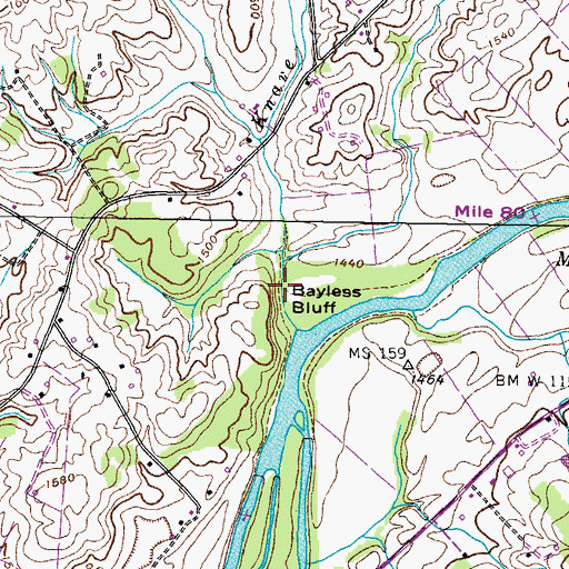 Topographic Map of Bayless Bluff, TN