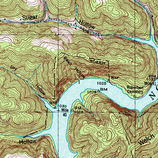 Topographic Map of Bean Hollow, TN