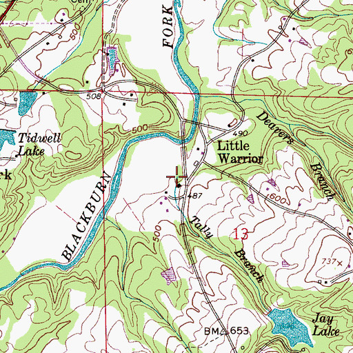 Topographic Map of Tally Branch, AL