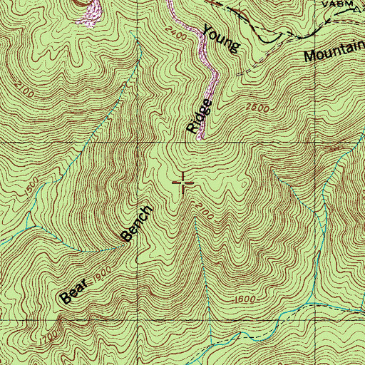 Topographic Map of Bear Bench Ridge, TN