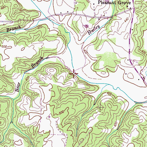 Topographic Map of Bear Branch, TN