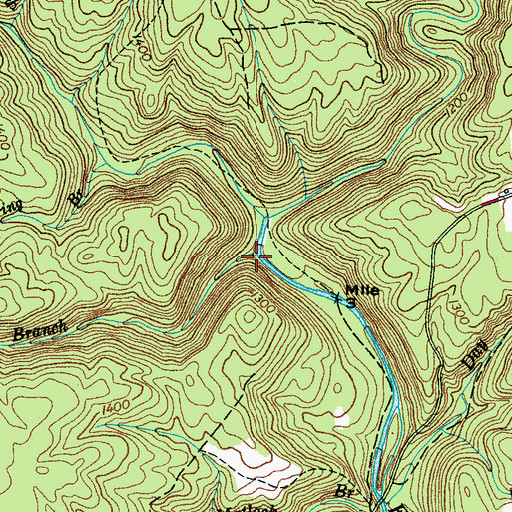 Topographic Map of Bear Branch, TN