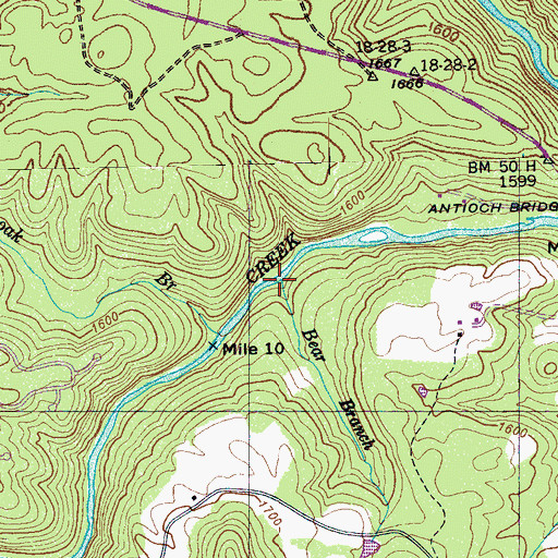 Topographic Map of Bear Branch, TN
