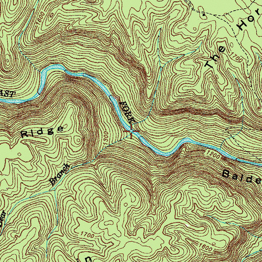 Topographic Map of Bear Branch, TN