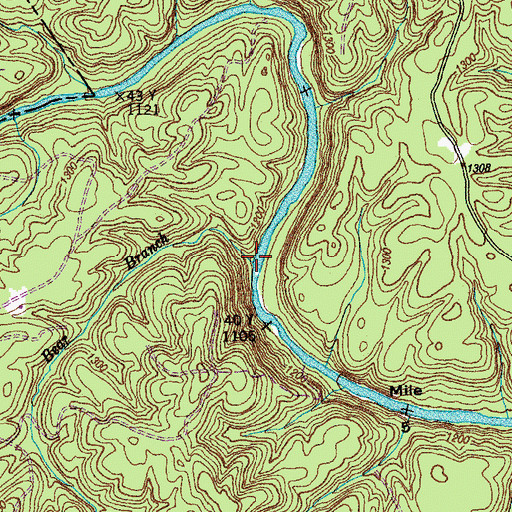 Topographic Map of Bear Branch, TN