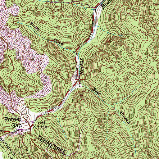 Topographic Map of Bear Branch, TN