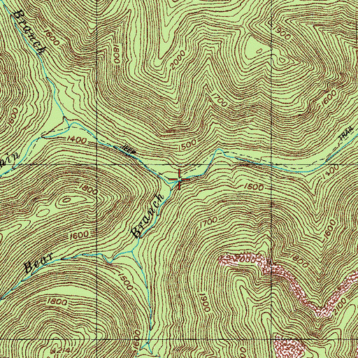 Topographic Map of Bear Branch, TN