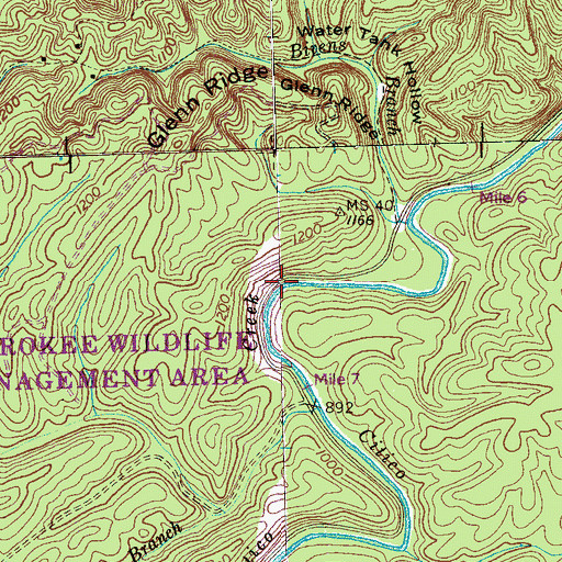 Topographic Map of Bear Branch, TN