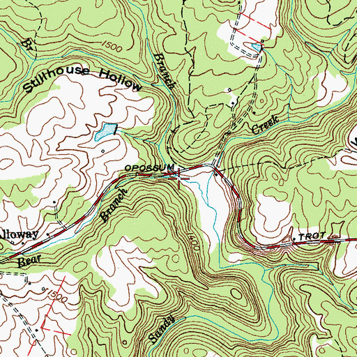 Topographic Map of Bear Branch, TN
