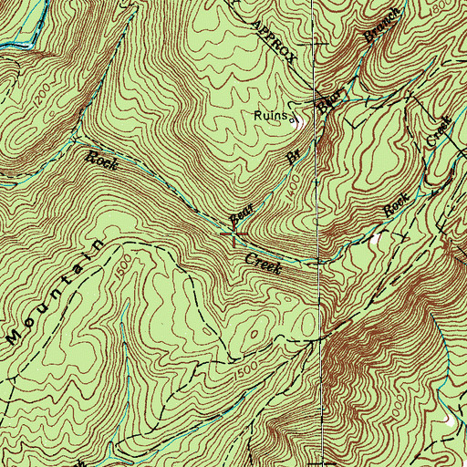 Topographic Map of Bear Branch, TN