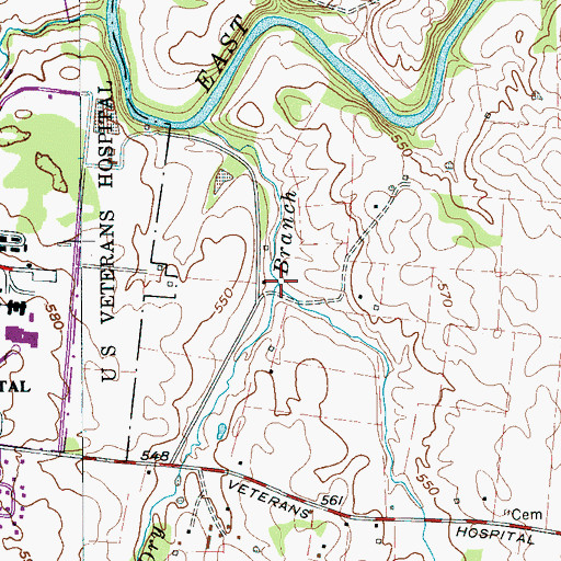 Topographic Map of Bear Branch, TN