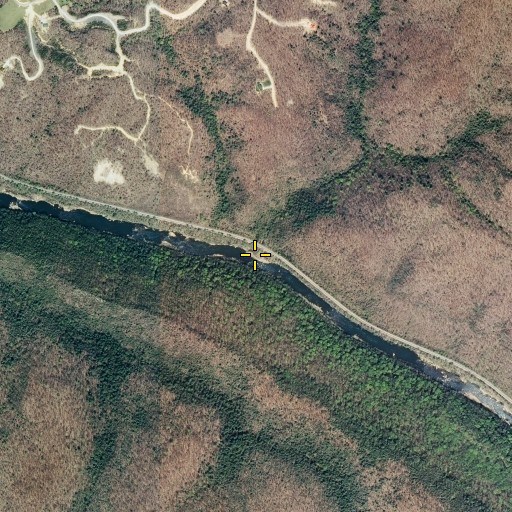 Aerial/Satellite Image of Bear Branch, TN