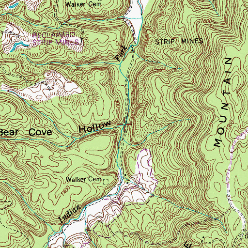 Topographic Map of Bear Cove Hollow, TN