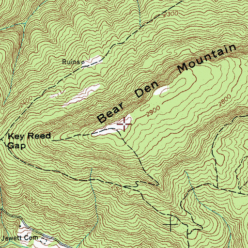 Topographic Map of Bear Den Mountain, TN