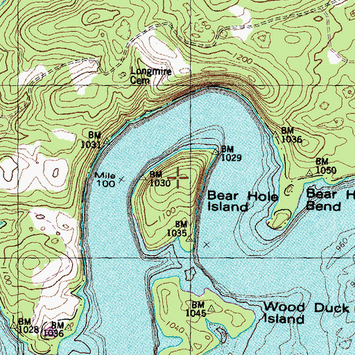 Topographic Map of Bear Hole Island, TN