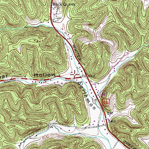 Topographic Map of Bear Hollow, TN