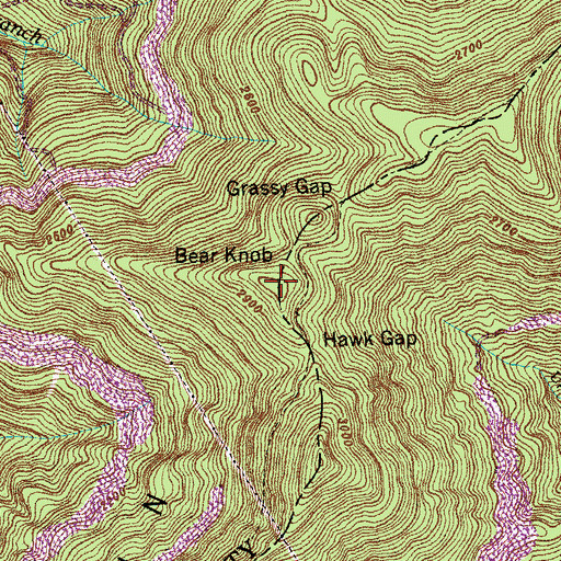 Topographic Map of Bear Knob, TN