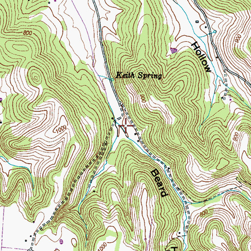 Topographic Map of Beard Hollow, TN