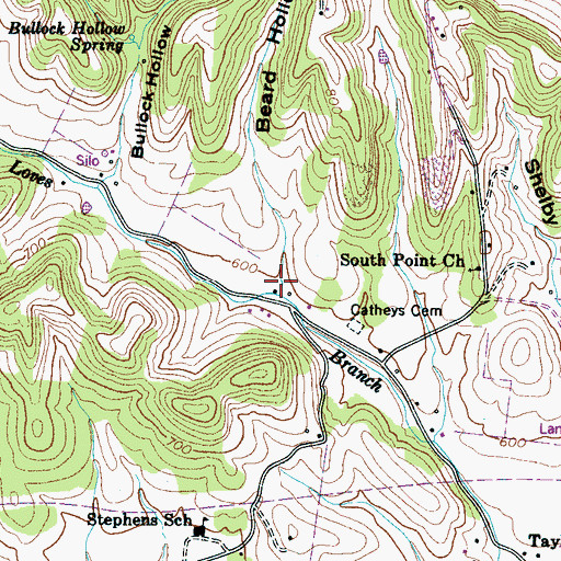 Topographic Map of Beard Hollow, TN
