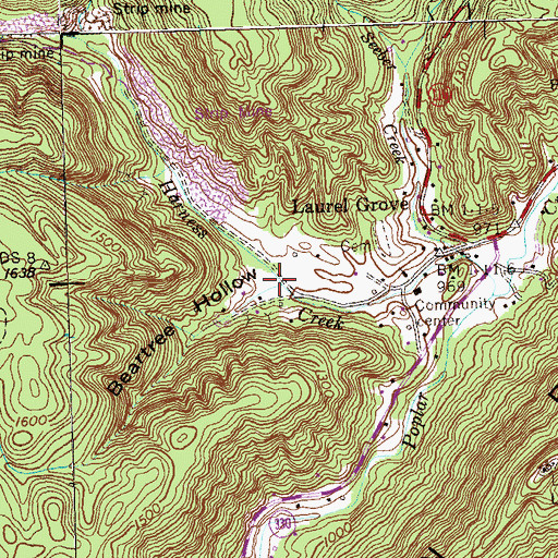 Topographic Map of Beartree Hollow, TN