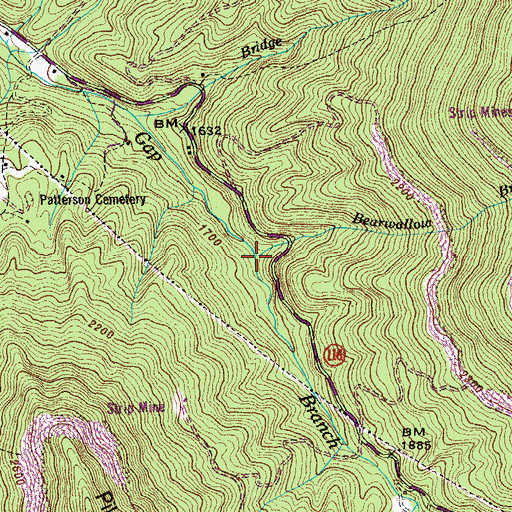 Topographic Map of Bearwallow Branch, TN