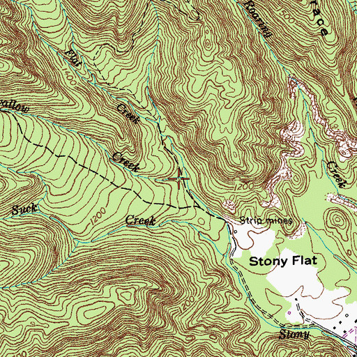 Topographic Map of Bearwallow Creek, TN