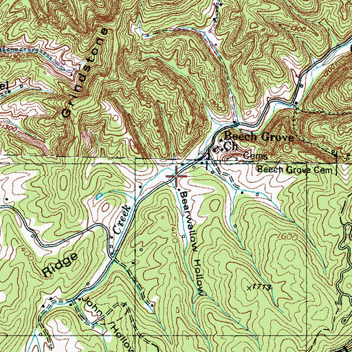 Topographic Map of Bearwallow Hollow, TN