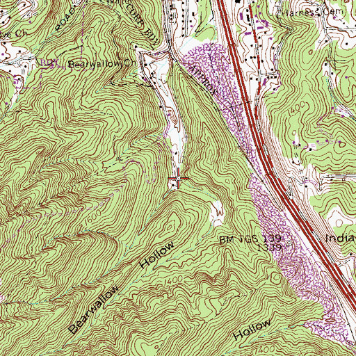 Topographic Map of Bearwallow Hollow, TN