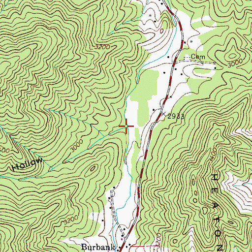 Topographic Map of Bearwallow Hollow, TN