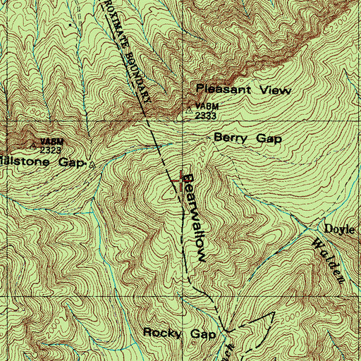 Topographic Map of Bearwallow Mountain, TN