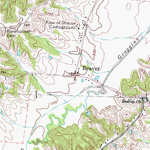 Topographic Map of Beaver, TN