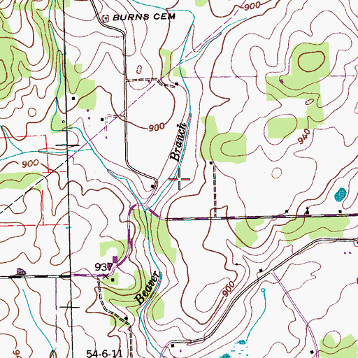 Topographic Map of Beaver Branch, TN