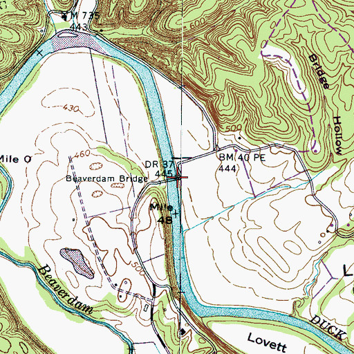 Topographic Map of Beaverdam Bridge, TN