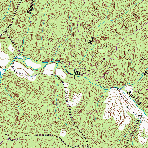 Topographic Map of Bee Branch, TN