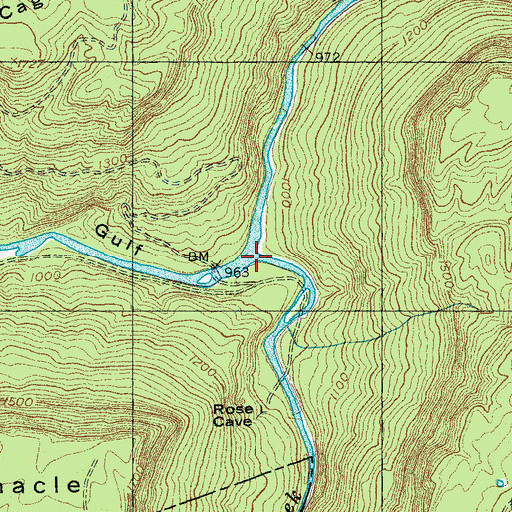 Topographic Map of Bee Creek, TN