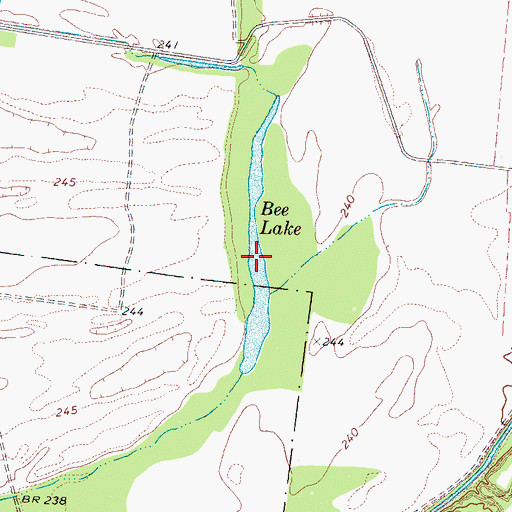 Topographic Map of Bee Lake, TN