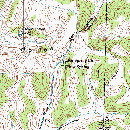 Topographic Map of Bee Spring, TN
