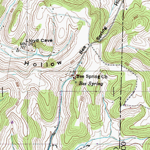 Topographic Map of Bee Spring Church, TN
