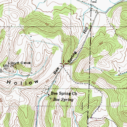 Topographic Map of Bee Spring Hill, TN