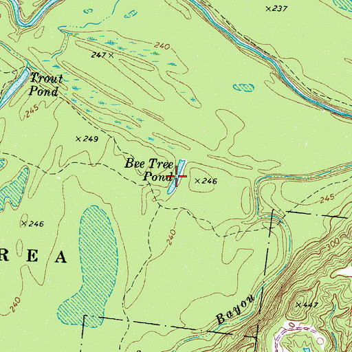 Topographic Map of Bee Tree Pond, TN