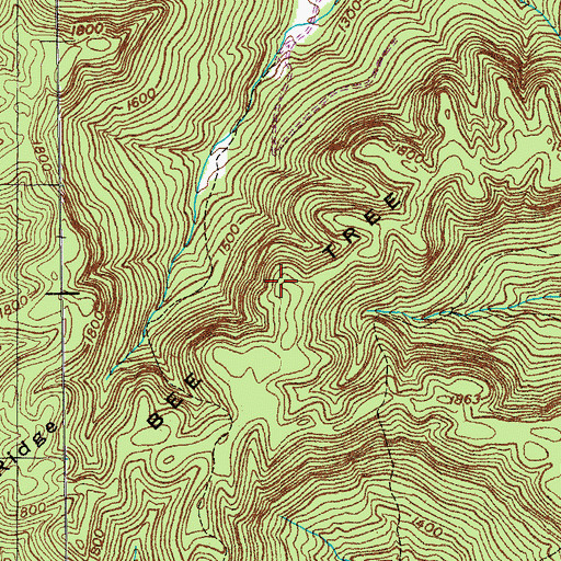 Topographic Map of Bee Tree Ridge, TN