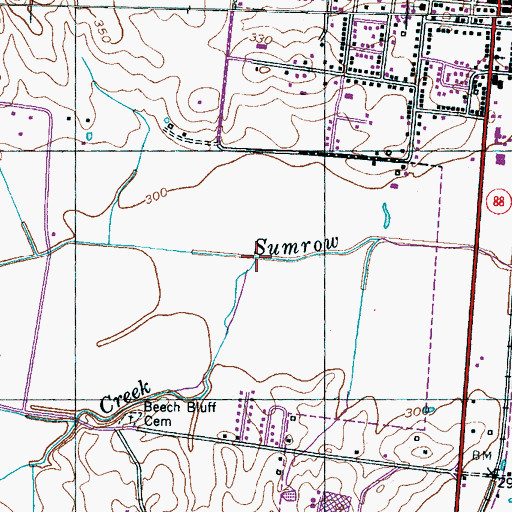 Topographic Map of Beech Bluff, TN