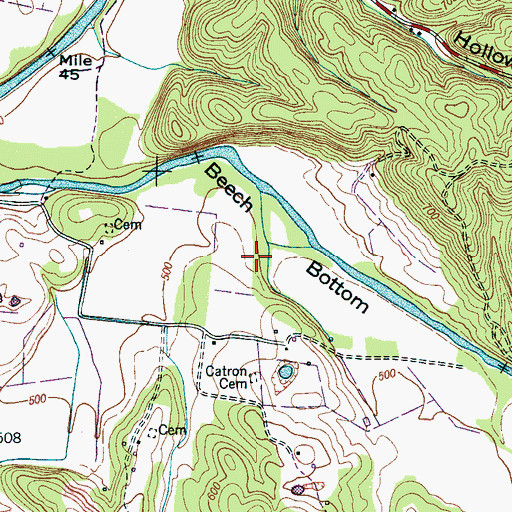 Topographic Map of Beech Bottom, TN